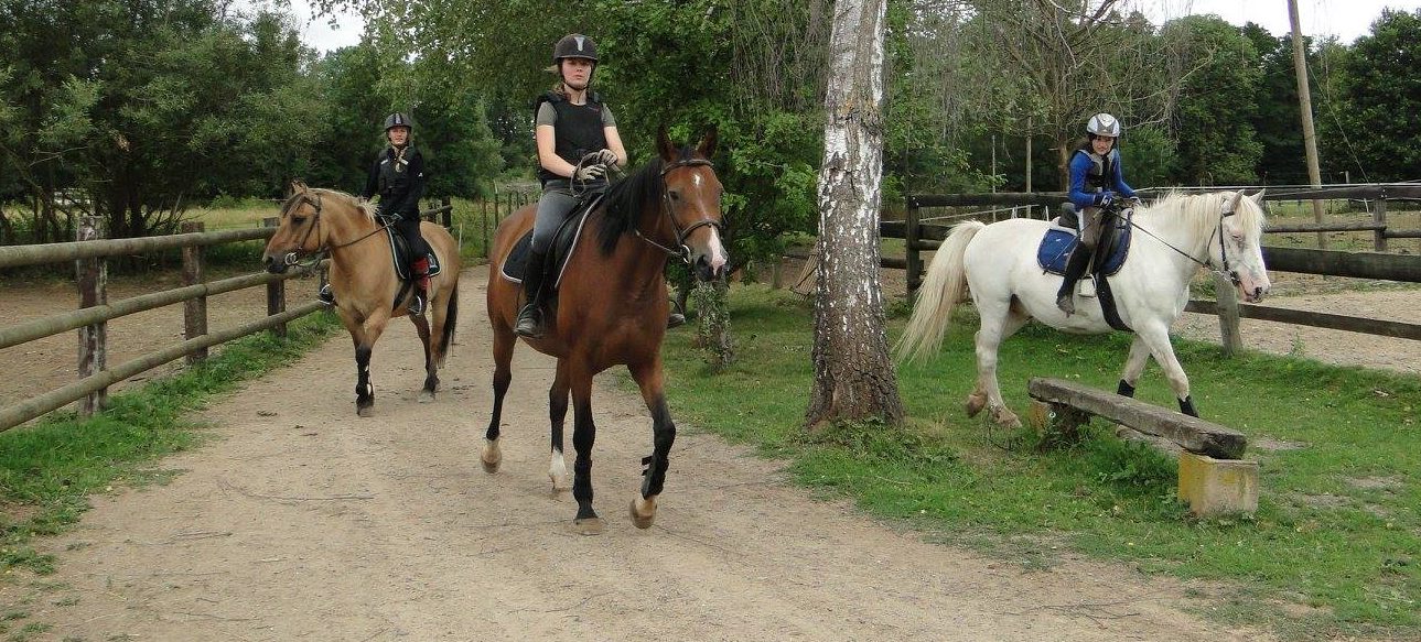 cheval